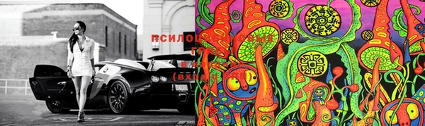 2c-b Нефтегорск